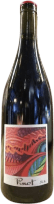 28,95 € Envio grátis | Vinho tinto Jean-Claude Lapalu Borgonha França Pinot Preto Garrafa 75 cl