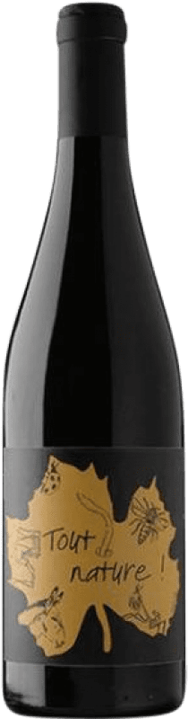26,95 € Envío gratis | Vino tinto Domaine Ledogar Tout Nature Languedoc-Roussillon Francia Cariñena, Mourvèdre Botella 75 cl