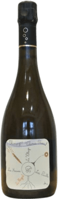 82,95 € Free Shipping | White Sparkling Wine Thomas Perseval Le Hazat A.O.C. Champagne Champagne France Pinot Noir Eco — Organic 75 cl