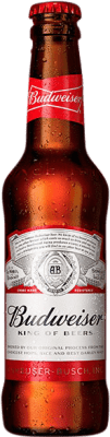 Bière Boîte de 24 unités Budweiser 33 cl