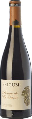 66,95 € 免费送货 | 红酒 Margón Pricum Paraje de El Santo D.O. Tierra de León 卡斯蒂利亚莱昂 西班牙 瓶子 Magnum 1,5 L