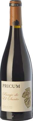 69,95 € Free Shipping | Red Wine Margón Pricum Paraje de El Santo D.O. León Castilla y León Spain Magnum Bottle 1,5 L