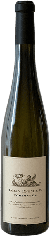 89,95 € Envío gratis | Vino Blanco Aleanna Gran Enemigo I.G. Mendoza Mendoza Argentina Torrontés 75 cl