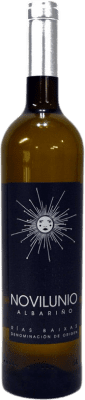 Lameiro Ferreira Novilunio Albariño — Albarinho 75 cl
