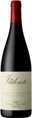 14,95 € Бесплатная доставка | Красное вино C2O Vidente I.G. Dão Дау Португалия Touriga Nacional, Alfrocheiro, Jaén бутылка 75 cl