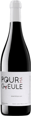17,95 € Бесплатная доставка | Красное вино Clos des Fous Pour Ma Gueule I.G. Valle del Itata Долина Итата Чили Tempranillo, Carignan, Cinsault бутылка 75 cl