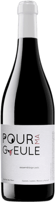 13,95 € Бесплатная доставка | Красное вино Clos des Fous Pour Ma Gueule I.G. Valle del Itata Долина Итата Чили Tempranillo — Темпранильо, Cariñena — Кариньян, Cinsault — Сансо Бутылка 75 cl