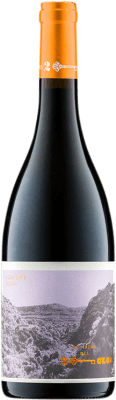 16,95 € Envío gratis | Vino tinto Domaine des Deux Clés Rouge A.O.C. Corbières Languedoc-Roussillon Francia Syrah, Garnacha, Cariñena Botella 75 cl