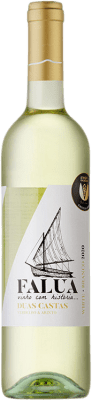 7,95 € Envío gratis | Vino Blanco Falua 2 Castas D.O.C. Vinho do Tejo Ribatejo Portugal Arinto, Verdello 75 cl