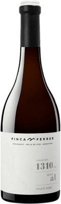 31,95 € Бесплатная доставка | Красное вино Finca Ferrer Colección 1310 I.G. Valle de Uco Мендоса Аргентина Pinot Black бутылка 75 cl