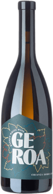19,95 € Envio grátis | Vinho branco Garena Txakolina Geroa D.O. Navarra Navarra Espanha Hondarribi Zerratia Garrafa 75 cl