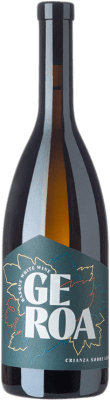 19,95 € Free Shipping | White wine Garena Txakolina Geroa D.O. Navarra Navarre Spain Hondarribi Zerratia Bottle 75 cl