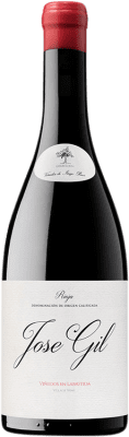 24,95 € Spedizione Gratuita | Vino rosso José Gil Viñedos en Labastida D.O.Ca. Rioja La Rioja Spagna Tempranillo, Grenache, Viura, Palomino Fino Bottiglia 75 cl