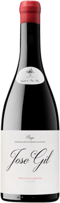 25,95 € Spedizione Gratuita | Vino rosso José Gil Viñedos en Labastida D.O.Ca. Rioja La Rioja Spagna Tempranillo, Grenache, Viura, Palomino Fino Bottiglia 75 cl