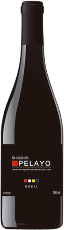 17,95 € Kostenloser Versand | Rotwein La Cepa de Pelayo D.O. Manchuela Kastilien-La Mancha Spanien Bobal Flasche 75 cl