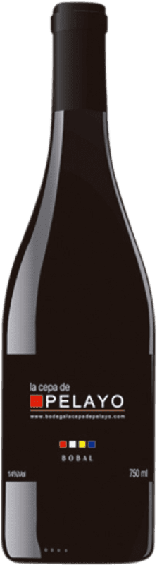 19,95 € Envio grátis | Vinho Tinto La Cepa de Pelayo D.O. Manchuela Castela-Mancha Espanha Bobal 75 cl