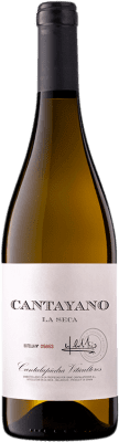 12,95 € Бесплатная доставка | Белое вино Cantalapiedra Cantayano I.G.P. Vino de la Tierra de Castilla y León Кастилия-Леон Испания Verdejo бутылка 75 cl