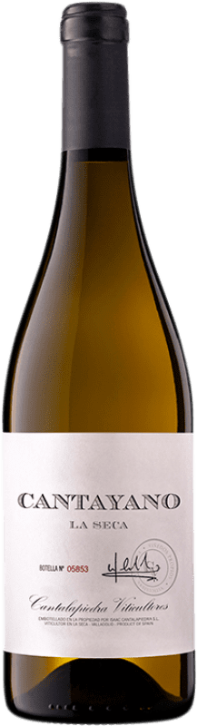 12,95 € Бесплатная доставка | Белое вино Cantalapiedra Cantayano I.G.P. Vino de la Tierra de Castilla y León Кастилия-Леон Испания Verdejo бутылка 75 cl
