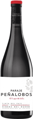 Lagar de Isilla Paraje Peñalobos Tempranillo 75 cl