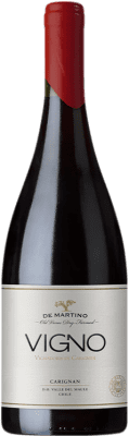 49,95 € Kostenloser Versand | Rotwein De Martino Old Vines Vigno I.G. Valle del Maule Maule-Tal Chile Carignan, Malbec, Cinsault Flasche 75 cl