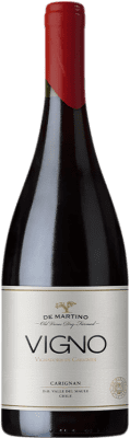 59,95 € Бесплатная доставка | Красное вино De Martino Old Vines Vigno I.G. Valle del Maule Долина Мауле Чили Carignan, Malbec, Cinsault бутылка 75 cl