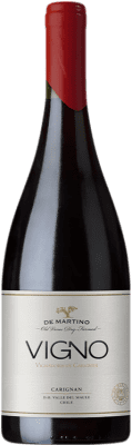 59,95 € Kostenloser Versand | Rotwein De Martino Old Vines Vigno I.G. Valle del Maule Maule-Tal Chile Carignan, Malbec, Cinsault Flasche 75 cl