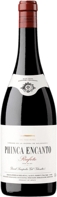 25,95 € Envio grátis | Vinho tinto Bhilar Phinca Encanto Espanha Rufete Garrafa 75 cl