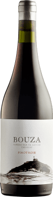 49,95 € Free Shipping | Red Wine Bouza Uruguay Pinot Noir Bottle 75 cl