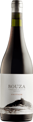 49,95 € Kostenloser Versand | Rotwein Bouza Uruguay Spätburgunder Flasche 75 cl