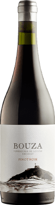 Bouza Pan de Azúcar Pinot Black 75 cl