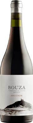 57,95 € Free Shipping | Red Wine Bouza Pan de Azúcar Uruguay Pinot Noir Bottle 75 cl