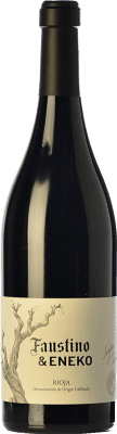 71,95 € Envío gratis | Vino tinto Faustino & Eneko D.O.Ca. Rioja La Rioja España Tempranillo, Graciano Botella 75 cl