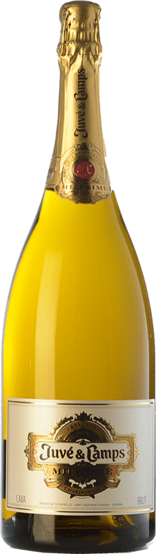 79,95 € 送料無料 | 白のスパークリングワイン Juvé y Camps Brut — ブリュット Millésimé グラン・レセルバ D.O. Cava カタロニア スペイン Chardonnay — シャルドネ マグナムボトル 1,5 L