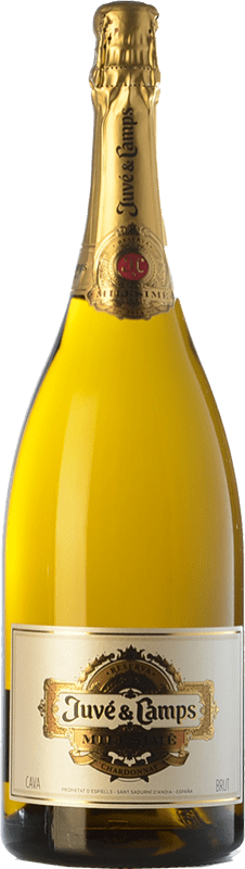 59,95 € Free Shipping | White sparkling Juvé y Camps Milesimé Brut Grand Reserve D.O. Cava Catalonia Spain Chardonnay Magnum Bottle 1,5 L