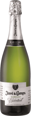 18,95 € 免费送货 | 白起泡酒 Juvé y Camps 香槟 预订 D.O. Cava 加泰罗尼亚 西班牙 Xarel·lo 瓶子 75 cl