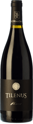 41,95 € Free Shipping | Red wine Estefanía Tilenus Pieros D.O. Bierzo Castilla y León Spain Mencía Bottle 75 cl