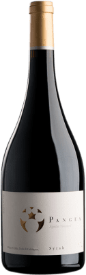 53,95 € Free Shipping | Red wine Viña Ventisquero Pangea Chile Syrah Bottle 75 cl