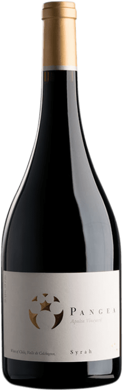 49,95 € Kostenloser Versand | Rotwein Viña Ventisquero Pangea Chile Syrah 75 cl