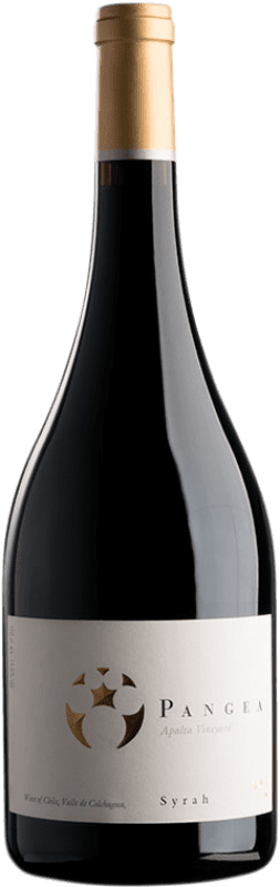 53,95 € Spedizione Gratuita | Vino rosso Viña Ventisquero Pangea Chile Syrah Bottiglia 75 cl