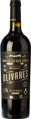 Olivares Monastrell Aged 75 cl