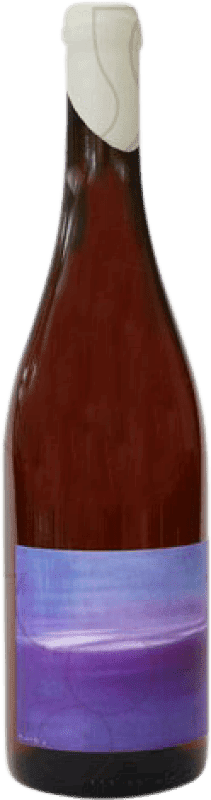 15,95 € Envoi gratuit | Vin rose Vinyes Singulars Brisat Jeune Catalogne Espagne Sumoll, Xarel·lo Bouteille 75 cl