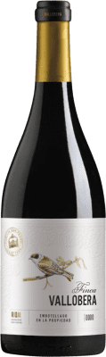 19,95 € Free Shipping | Red wine Vallobera Aged D.O.Ca. Rioja The Rioja Spain Tempranillo Bottle 75 cl
