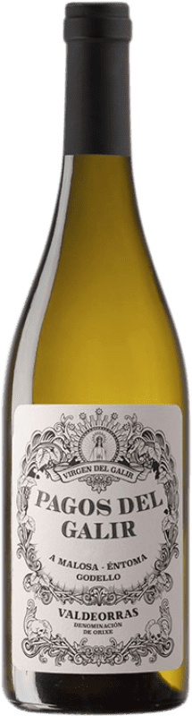 15,95 € Envoi gratuit | Vin blanc Virxe de Galir Pagos del Galir Jeune D.O. Valdeorras Galice Espagne Godello Bouteille 75 cl