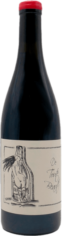 62,95 € Envoi gratuit | Vin Rouge Jean-François Ganevat Toute Beauté Nature Jeune A.O.C. France France Syrah, Pinot Noir, Gamay 75 cl