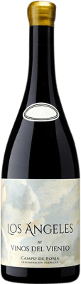 39,95 € Envoi gratuit | Vin rouge Vinos del Viento Los Ángeles D.O. Campo de Borja Aragon Espagne Grenache Bouteille 75 cl