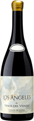 39,95 € Envio grátis | Vinho tinto Vinos del Viento Los Ángeles D.O. Campo de Borja Aragão Espanha Grenache Garrafa 75 cl