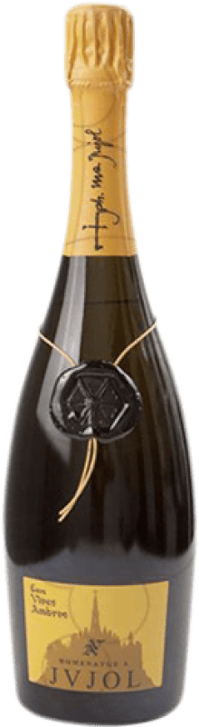 33,95 € 免费送货 | 白起泡酒 Vives Ambròs Homenatge JVJOL Brut Nature 大储备 D.O. Cava 加泰罗尼亚 西班牙 Xarel·lo 瓶子 75 cl