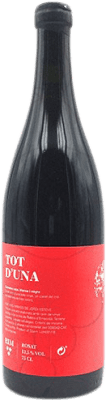 17,95 € Envío gratis | Vino Rosado Vins Jordi Esteve Rim Tot d'Una Joven D.O. Catalunya Cataluña España Garnacha 75 cl