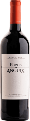 31,95 € Бесплатная доставка | Красное вино Pagos de Anguix 10 Meses Barrica D.O. Ribera del Duero Кастилия-Леон Испания Tempranillo бутылка 75 cl