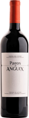 29,95 € Envio grátis | Vinho tinto Pagos de Anguix 10 Meses Barrica D.O. Ribera del Duero Castela e Leão Espanha Tempranillo Garrafa 75 cl